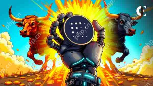 任何付款都可以提高ASI采用和FET价值